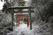 japon_koyasan_08-03-04-11-36-07-157.jpg