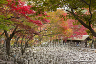 kyoto_10-11-14_11-12-29_120.jpg