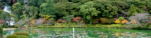 beppu_pano.jpg