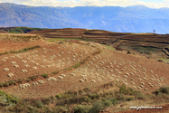 terres_rouges_17-12-12-14-09-05-012.jpg