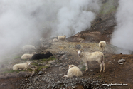 hengill_Islande_15-07-26_13-46-31_023.jpg