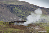 hengill_Islande_15-07-26_15-17-59_043.jpg