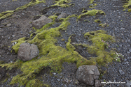 laki_Islande_15-07-30_11-11-35_014.jpg