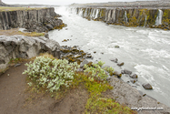 selfoss_Islande_15-08-05_12-27-57_002.jpg