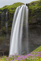 seljalandsfoss_Islande_15-07-28_14-16-51_003.jpg