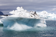 jokulsarlon_Islande_15-07-31_16-27-11_011.jpg