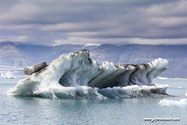 jokulsarlon_Islande_15-07-31_16-30-18_014.jpg