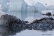 jokulsarlon_Islande_15-07-31_17-13-02_039.jpg