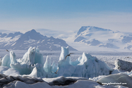 jokulsarlon_Islande_15-07-31_18-13-27_052.jpg