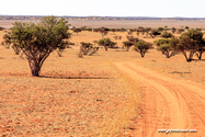 Namibie_J_16-10-04_16-23-46_1311.jpg