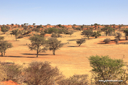 Namibie_J_16-10-04_16-40-35_1313.jpg