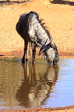 Namibie_J_16-10-04_16-50-25_1322.jpg