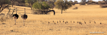 Namibie_J_16-10-04_17-23-19_1328.jpg