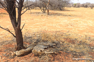 Namibie_J_16-09-15_13-45-42_057.jpg