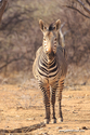 Namibie_J_16-09-15_16-57-09_090.jpg