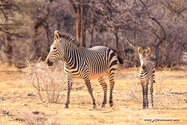 Namibie_J_16-09-15_16-57-47_093.jpg