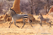 Namibie_J_16-09-15_16-58-00_095.jpg