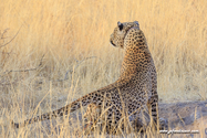 Namibie_J_16-09-15_18-04-14_117.jpg