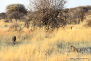 Namibie_J_16-09-15_18-05-59_119.jpg