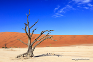 Namibie_J_16-10-01_09-26-27_1215.jpg