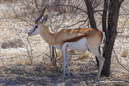 Namibie_J_16-09-17_14-35-07_295.jpg