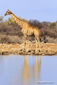 Namibie_J_16-09-17_16-06-04_312.jpg