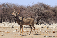 Namibie_J_16-09-18_10-58-59_356.jpg