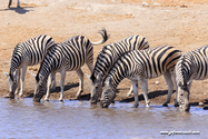 Namibie_J_16-09-18_11-00-30_357.jpg