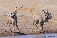 Namibie_J_16-09-18_11-05-06_363.jpg