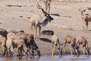 Namibie_J_16-09-18_11-16-43_373.jpg