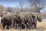 Namibie_J_16-09-18_11-49-01_377.jpg