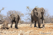 Namibie_J_16-09-18_11-57-09_384.jpg