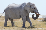 Namibie_J_16-09-18_12-50-05_414.jpg