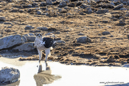 Namibie_J_16-09-18_17-51-25_420.jpg