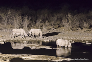 Namibie_J_16-09-18_20-01-56_421.jpg