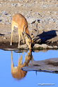 Namibie_J_16-09-19_07-39-59_435.jpg