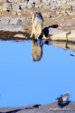 Namibie_J_16-09-19_07-42-19_437.jpg