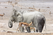 Namibie_J_16-09-19_12-17-14_476.jpg