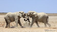 Namibie_J_16-09-19_12-24-29_481.jpg