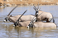 Namibie_J_16-09-19_13-41-19_495.jpg