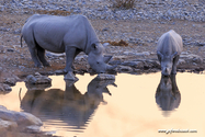 Namibie_J_16-09-19_18-38-47_522.jpg