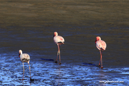 Namibie_J_16-09-28_08-40-42_981.jpg