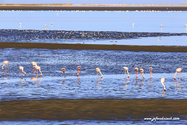 Namibie_J_16-09-28_08-47-20_990.jpg