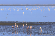 Namibie_J_16-09-28_08-51-12_993.jpg