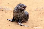 Namibie_J_16-09-26_13-51-23_807.jpg