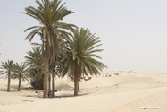 tunisie_desert_07_04_19_12_02_26-2.jpg
