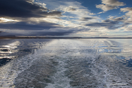 puerto_natales_15-03-01_08-21-07_001.jpg