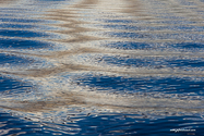 puerto_natales_15-03-01_08-38-44_005.jpg