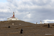 punta_arenas_15-02-28_09-15-36_020.jpg