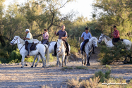 camargue_17-06-10_19-56-22_173.jpg